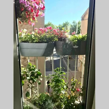 Antinea Appartement Cassis