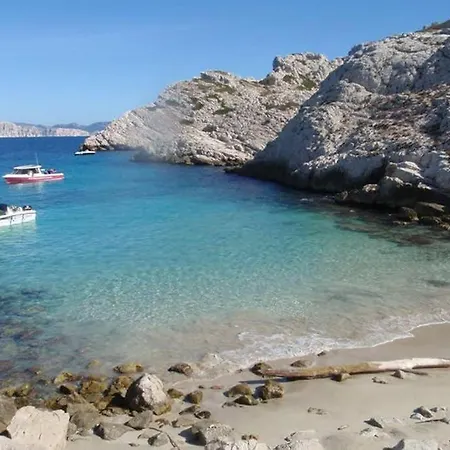Antinea * Cassis
