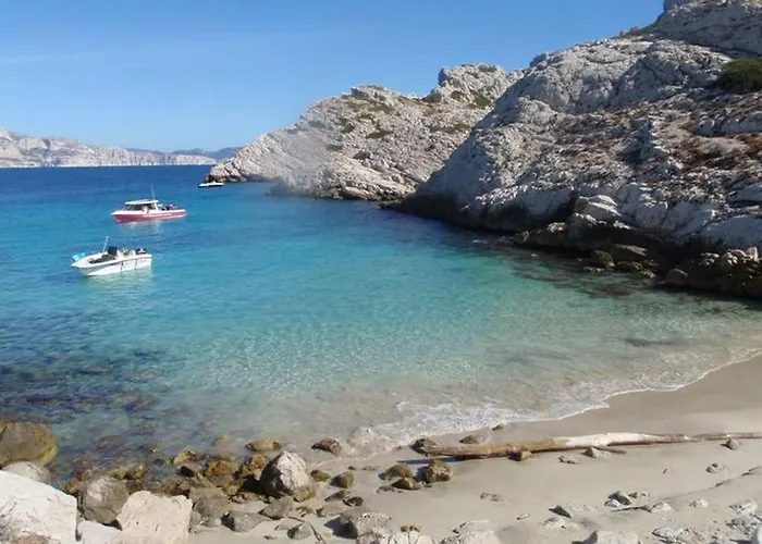 Antinea * Cassis